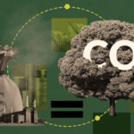 Carbon credit markets 2026