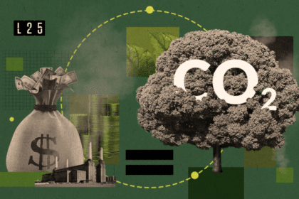 Carbon credit markets 2026